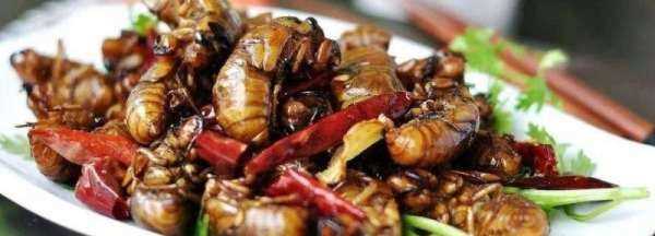 知了猴怎么炸才好吃,知了猴怎么做才好吃圖1