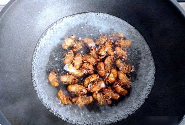 知了猴怎么炸才好吃,知了猴怎么做才好吃圖14