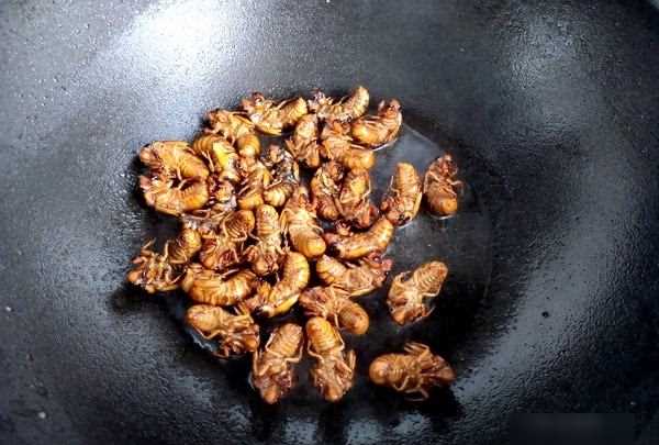 知了猴怎么炸才好吃,知了猴怎么做才好吃圖15