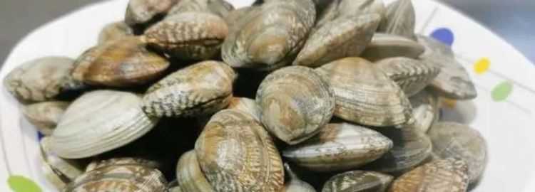 花蛤凍死了還能吃嗎