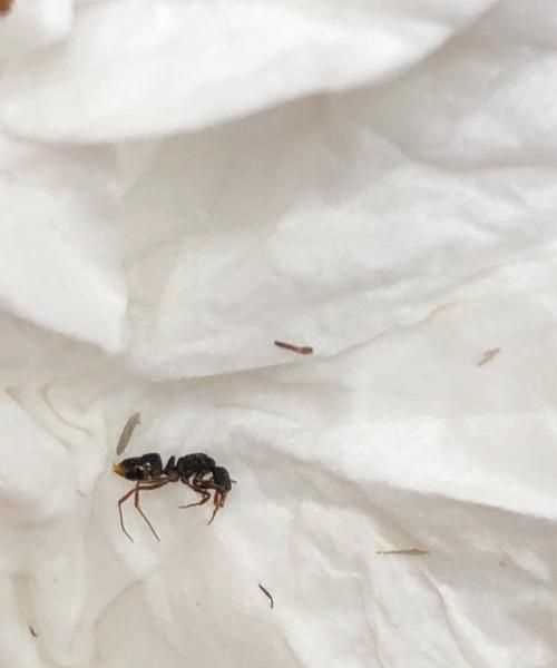 前幾天下雨了嗎