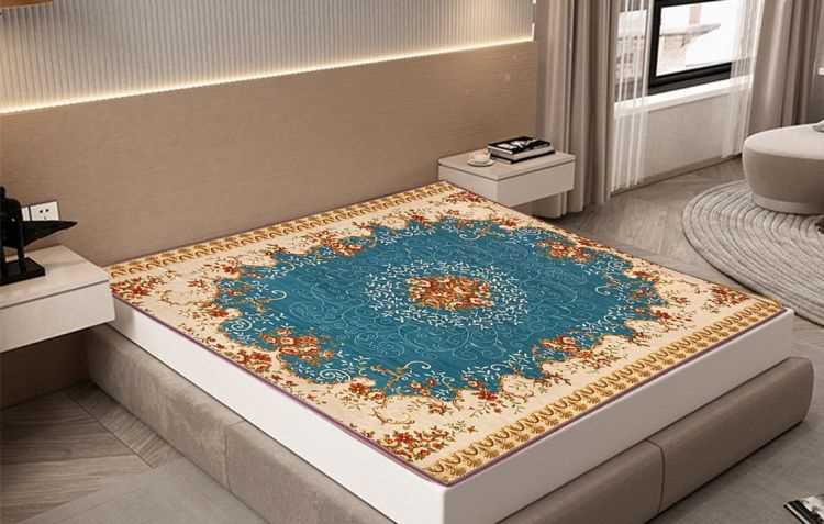 火車上可以帶電褥子嗎