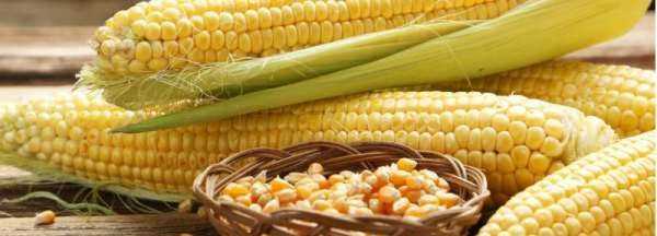 如何判斷生玉米壞了,怎么判斷玉米是否變質(zhì)能否吃圖4