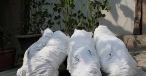 怎么刷白鞋干凈又不發(fā)黃，怎么刷白布鞋干凈又不發(fā)黃？圖6