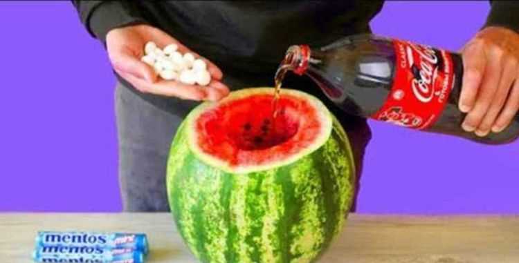 可樂和西瓜一起吃為什么會(huì)拉肚子