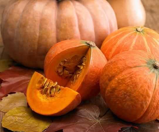 狗能不能吃南瓜瓤