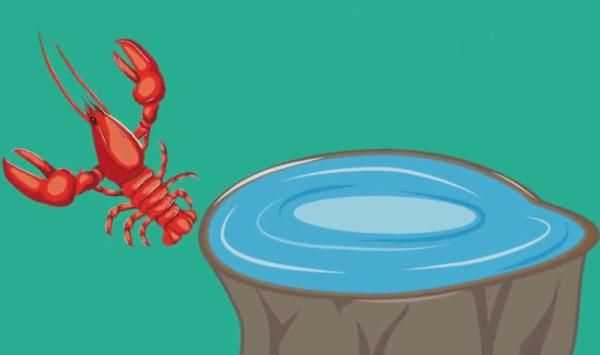 龍蝦過(guò)夜能不能吃，蒜蓉小龍蝦隔夜還能吃嗎？圖3