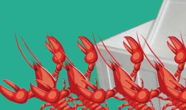 龍蝦過(guò)夜能不能吃，蒜蓉小龍蝦隔夜還能吃嗎？圖6