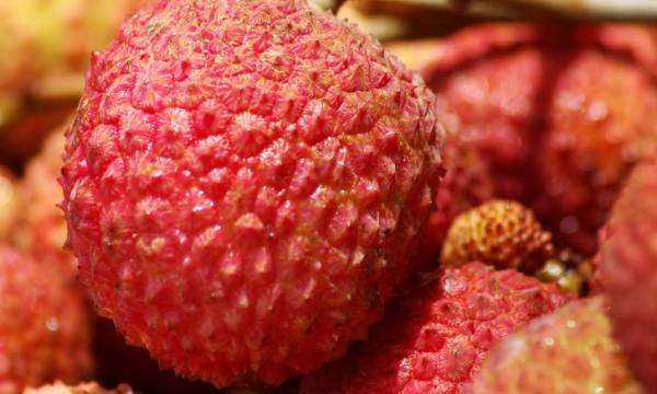 荔枝沒(méi)有冰箱如何保鮮,荔枝沒(méi)有冰箱怎么保鮮圖3