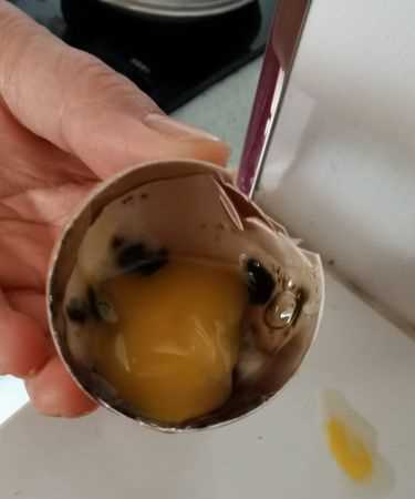 煮熟的雞蛋變質了吃了會怎樣