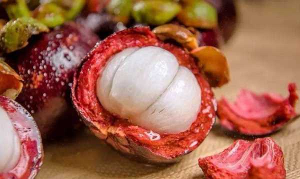 山竹是涼性還是熱性,山竹是涼性還是熱性圖7