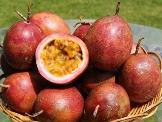 百香果癟了還能吃,百香果流水了還能吃嗎圖3