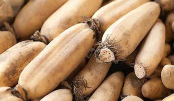 蓮藕放久了變黑還能吃,發(fā)黑的蓮藕還能吃嗎圖1