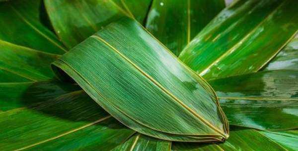 粽葉為什么要用開水煮,煮包粽子的葉子是開水下鍋還是冷水下鍋圖2