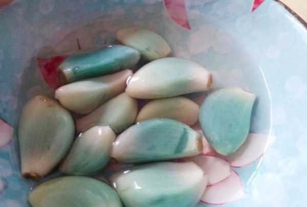 不放肉的餃子餡有哪些,茴香和肉包餃子怎么做好吃圖3