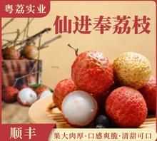 仙進奉荔枝有什么特點