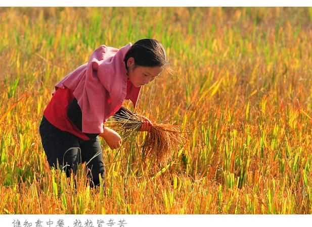 粒粒皆辛苦打一成語(yǔ)