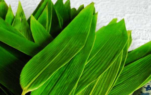 發(fā)霉的粽葉怎么去除霉再用,粽子葉放冰箱冷藏發(fā)霉了還能包嗎圖3