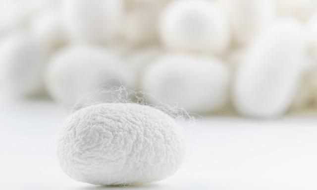 百分百桑蠶絲衣服的優(yōu)缺點