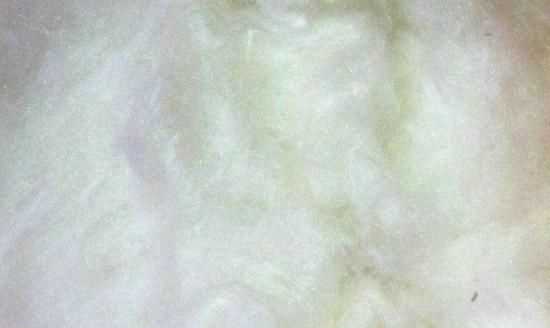 桑蠶絲的優(yōu)缺點，百分百桑蠶絲衣服的優(yōu)缺點？圖4