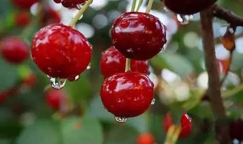 車?yán)遄映远嗌俸线m,車?yán)遄用刻斐远嗌俸线m?圖3