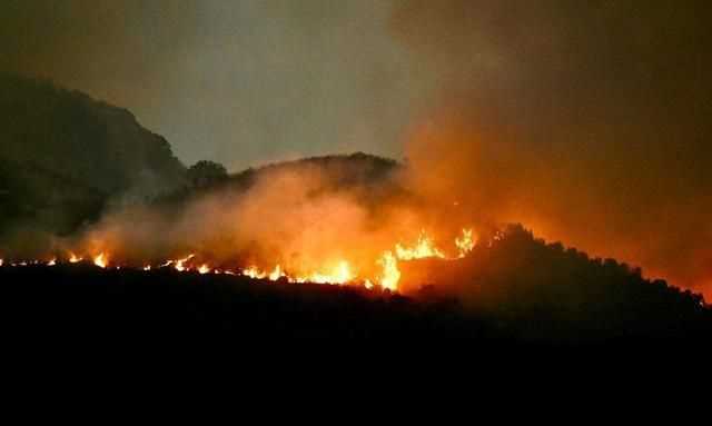 森林火災(zāi)后應(yīng)該積極采取什么措施