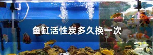 魚缸活性炭多久換一次,活性炭放魚缸多長時間換一次圖1