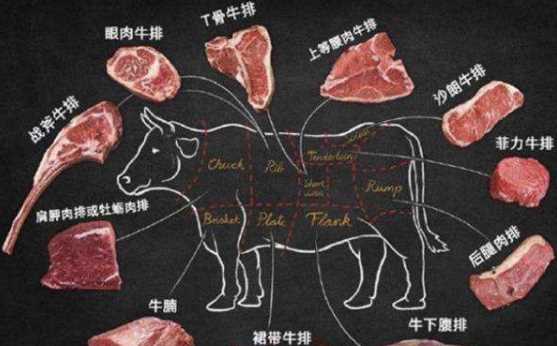 牛排什么部位最嫩,牛身上哪個部位的肉最嫩圖4