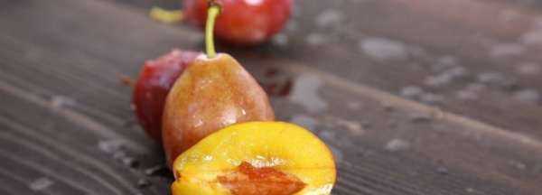 西梅能凍起來保存,西梅可以冷凍保存多久圖1