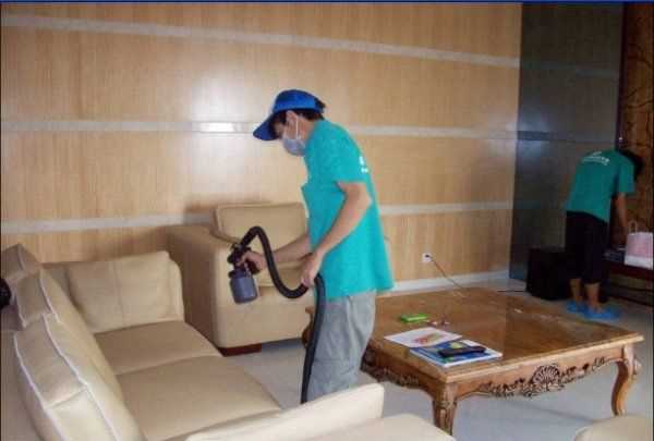 小蟲怎么消滅小竅門,家里地板有小蟲子怎么消除小妙招圖5