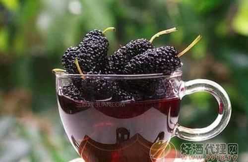 怎樣制作桑泡酒