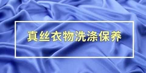 含桑蠶絲26%衣服怎么洗