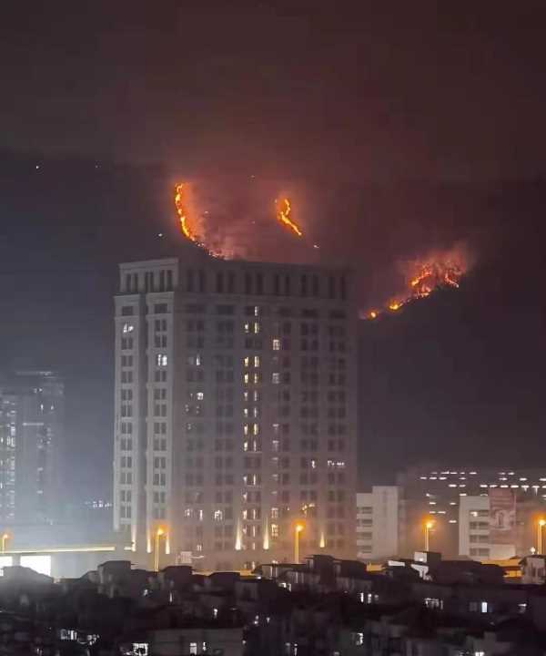 山火的危害及措施,深圳南山 山火圖2