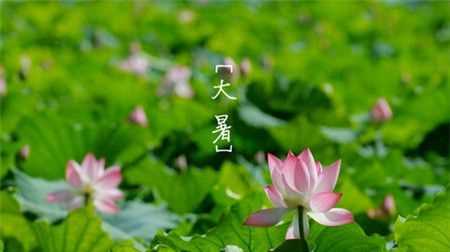 小暑大暑是什么時(shí)間什么意思