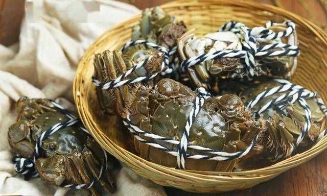 螃蟹能常溫保存多長時間