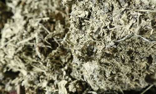 艾葉怎么保鮮放的時(shí)間長(zhǎng)