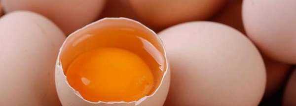 無(wú)菌蛋是什么,無(wú)菌蛋是怎么做到無(wú)菌的 知乎圖2