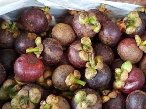 深紫色的厚皮，里面是白色透明的一瓣一瓣的果肉叫什么名字