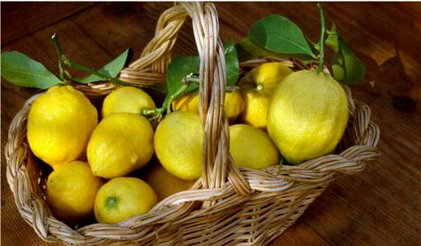 檸檬太多吃不完怎么辦,檸檬買多了吃不了怎么辦圖3