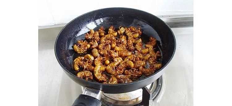 哺乳期能吃爬蚱嗎,寶寶五個(gè)月哺乳期寶媽可以吃螞蚱吧 - 百度寶寶知道