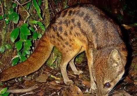 無(wú)腸公子中的無(wú)常是什么的代稱(chēng)