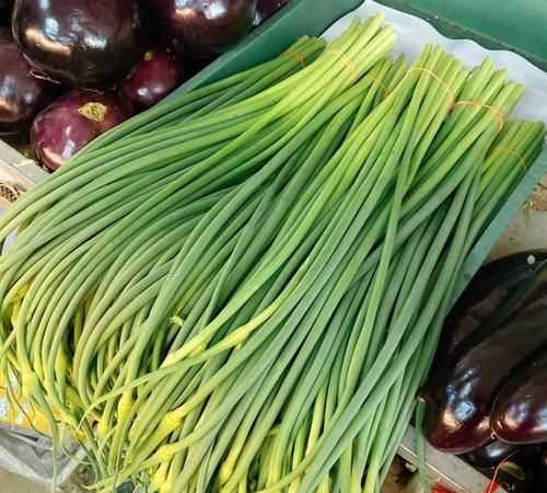 蒜苔怎么抽不斷,怎樣抽蒜苔不會斷視頻