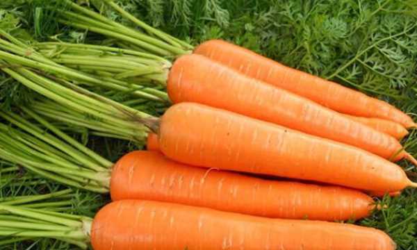 含va高的食物有哪些,什么食物中維生素a含量高嗎圖3