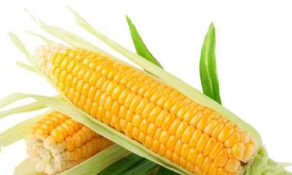 含va高的食物有哪些,什么食物中維生素a含量高嗎圖5