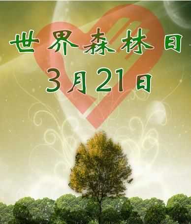 保護森林的重要性,森林對人類生存和發(fā)展的重要性