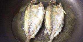 海泥鰍魚的做法,海泥鰍魚的做法大圖12