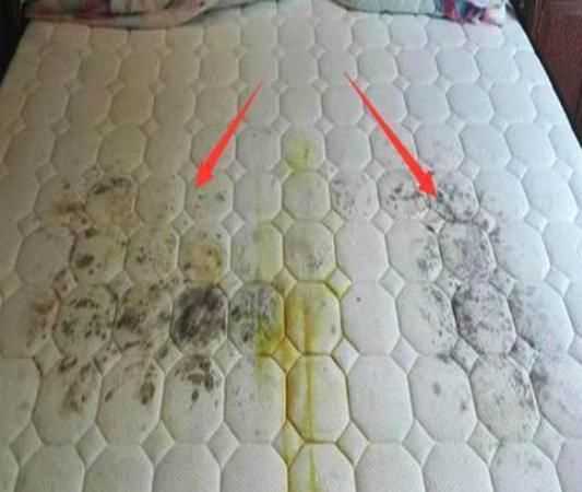 假期回來(lái)床單發(fā)霉