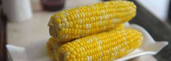 煮熟的玉米能放多久,煮熟的玉米粒放冰箱可以保存多久圖3