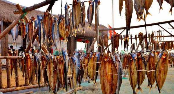 曬干的小咸魚怎么做好吃,干咸魚怎么做好吃又簡(jiǎn)單的方法圖2