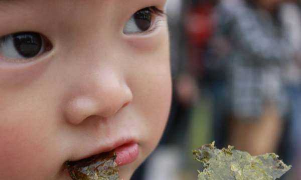 海苔吃了會胖,吃海苔會變胖嗎圖6